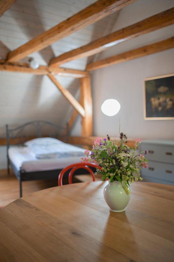 Mlyn Salajna Appartement Dolni Zandov Buitenkant foto