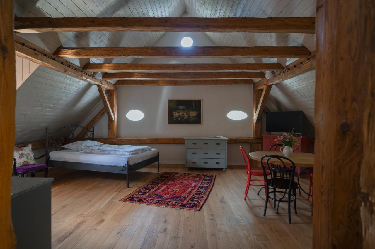 Mlyn Salajna Appartement Dolni Zandov Buitenkant foto